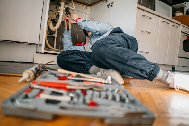 Best Local Plumber Services  in Mount Juliet, TN